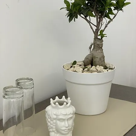 Paradise Sicily Guest house *